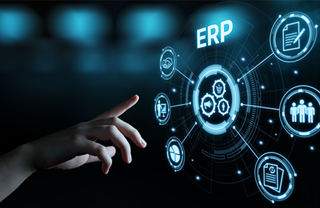 ERP Developers Provide Services 